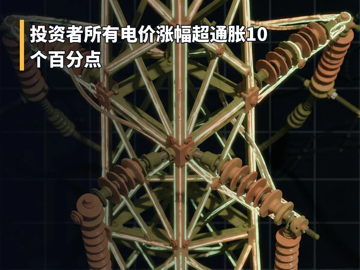 投资者所有电价涨幅超通胀10个百分点