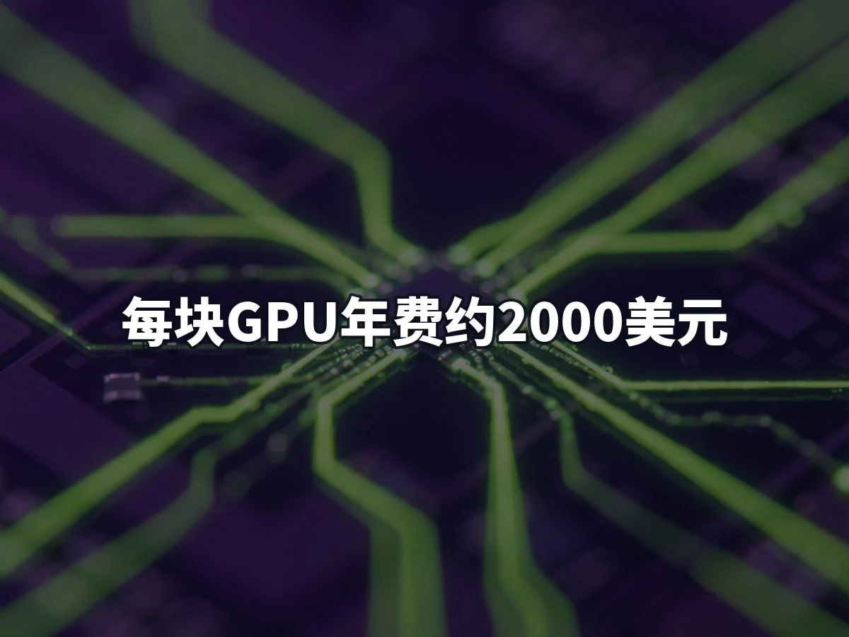 每块GPU年费约2000美元