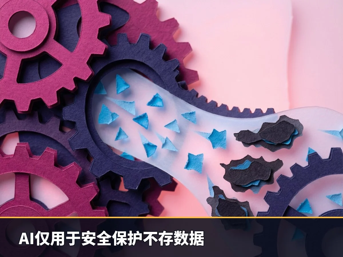 AI仅用于安全保护不存数据