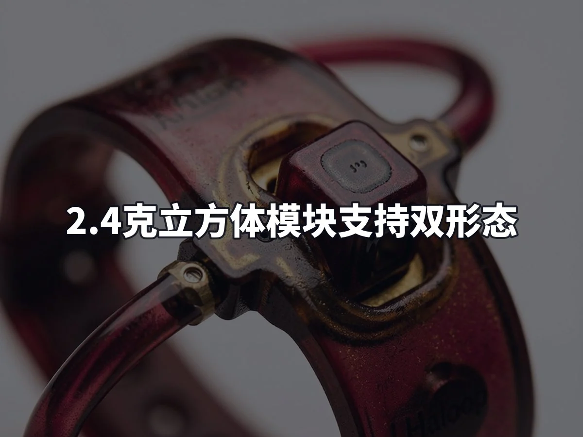 2.4克立方体模块支持双形态