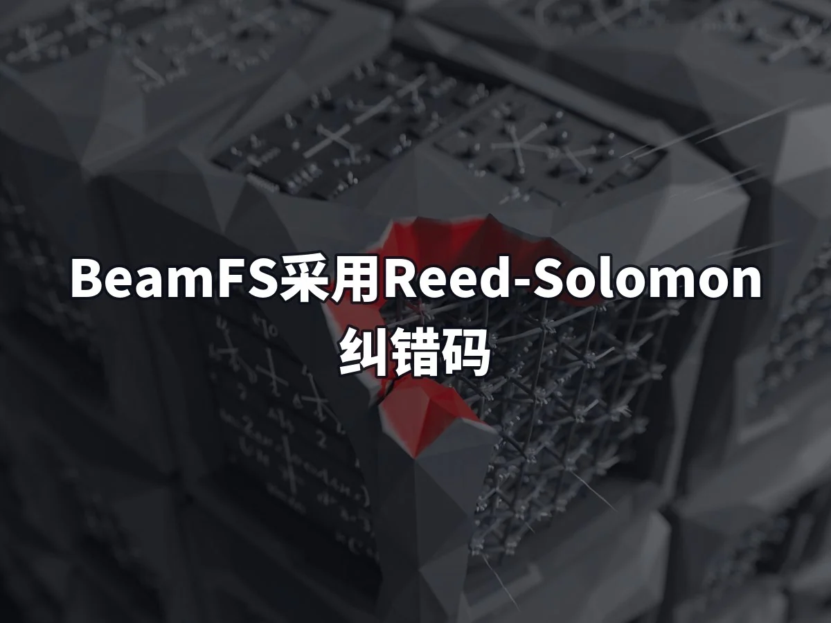 BeamFS采用Reed-Solomon纠错码