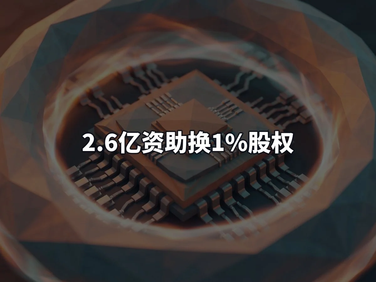 2.6亿资助换1%股权