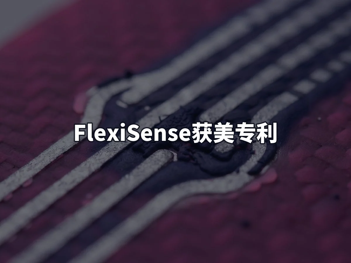 FlexiSense获美专利