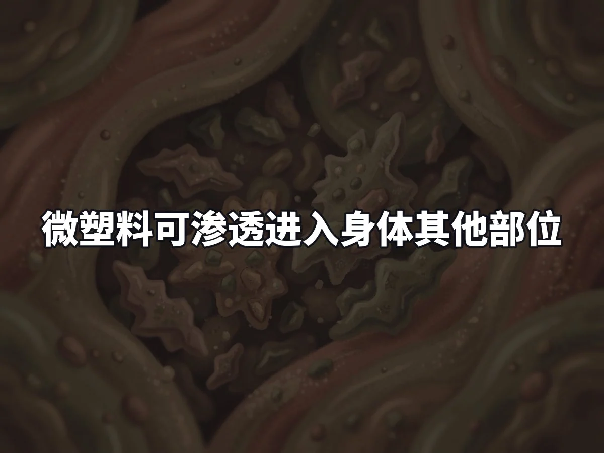 微塑料可渗透进入身体其他部位