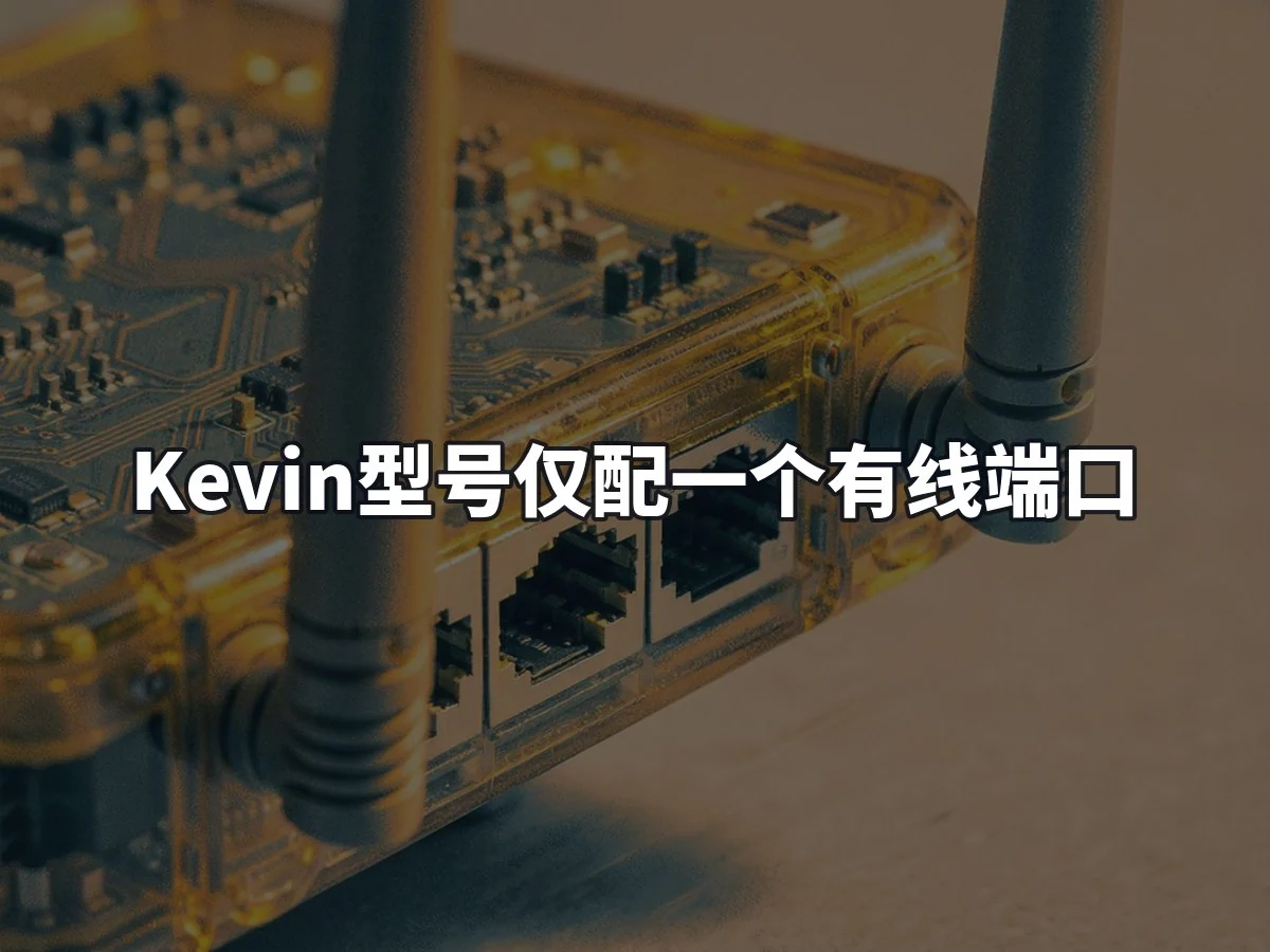 Kevin型号仅配一个有线端口