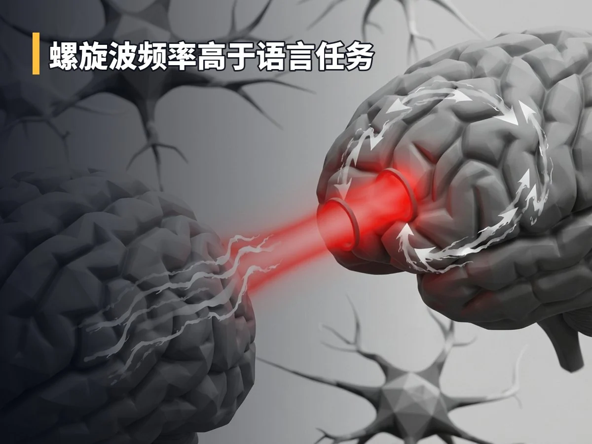 螺旋波频率高于语言任务