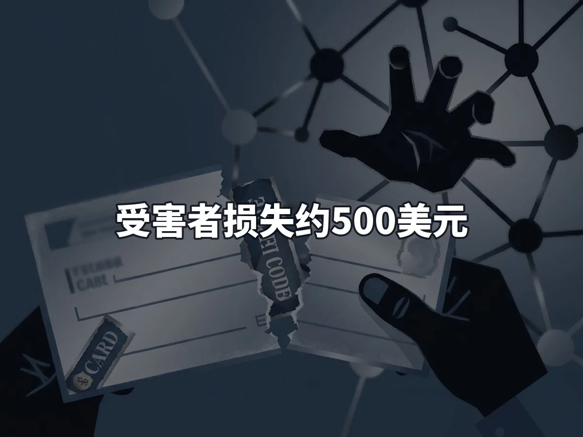 受害者损失约500美元