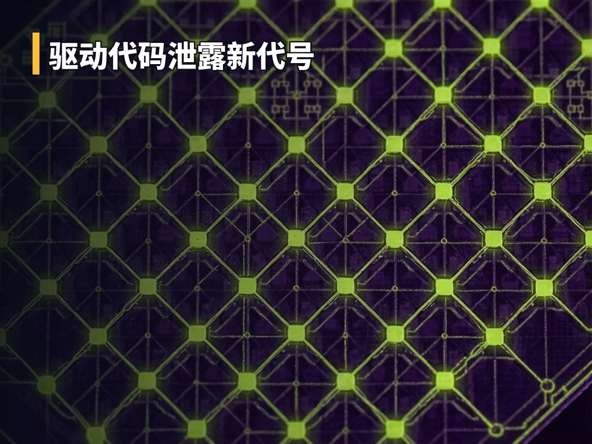 驱动代码泄露新代号