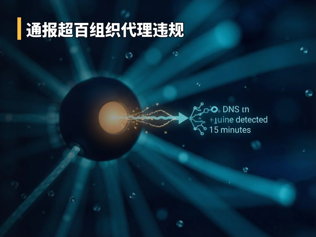 通报超百组织代理违规