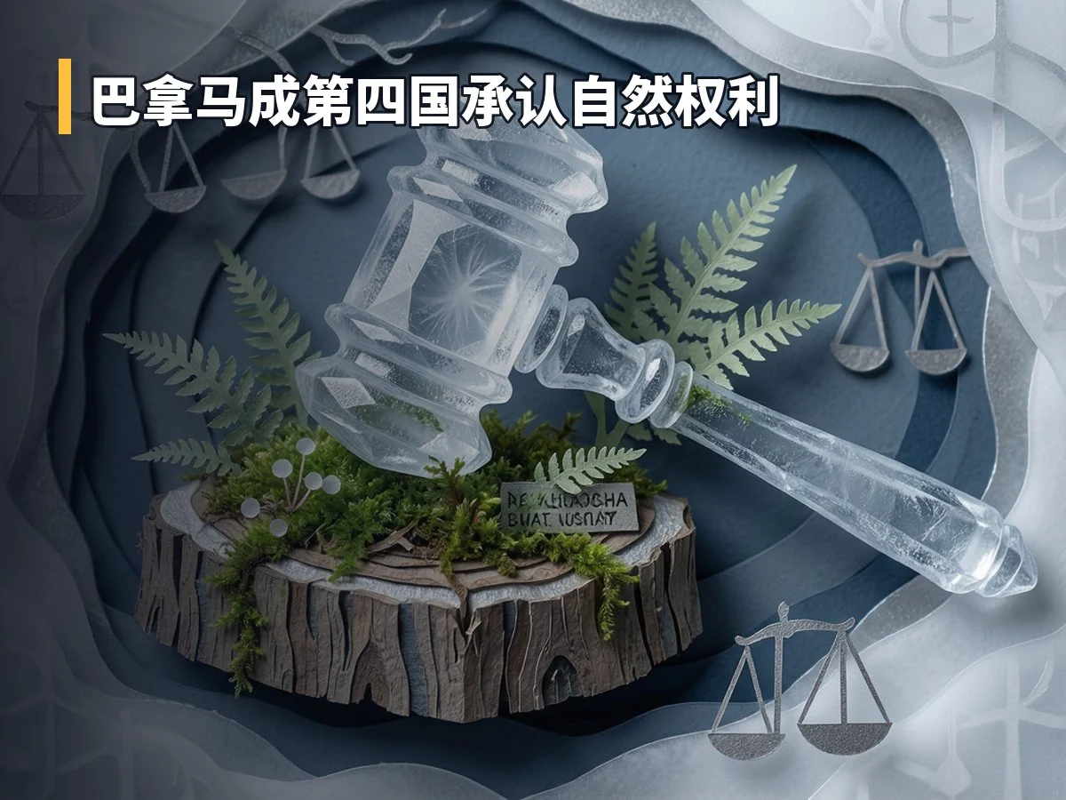 巴拿马成第四国承认自然权利
