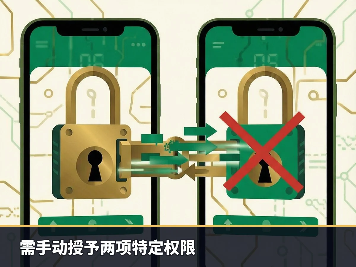 需手动授予两项特定权限