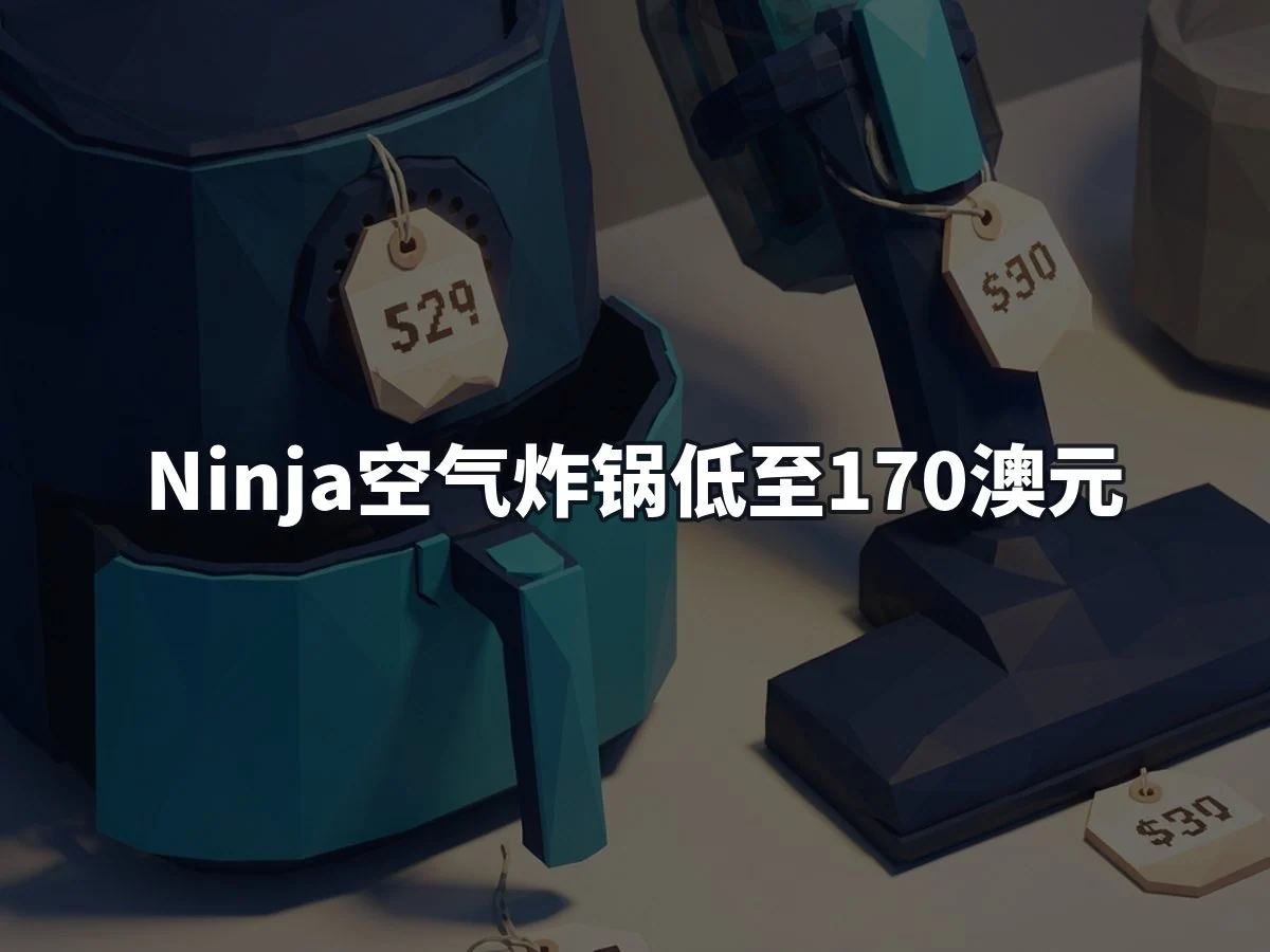 Ninja空气炸锅低至170澳元