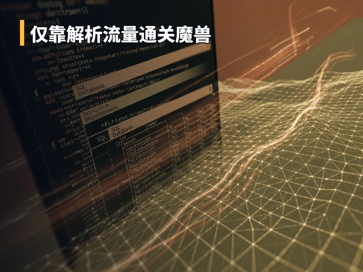 仅靠解析流量通关魔兽