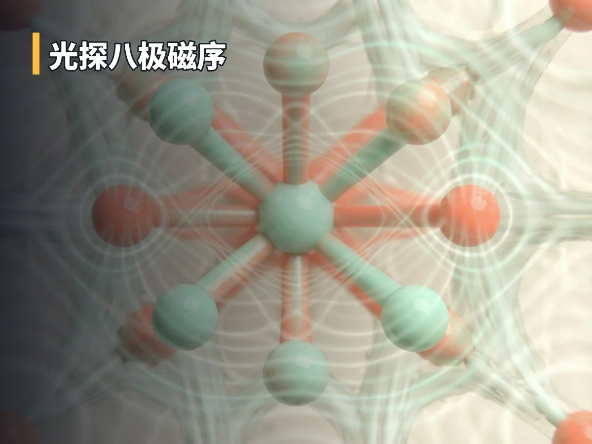 光探八极磁序