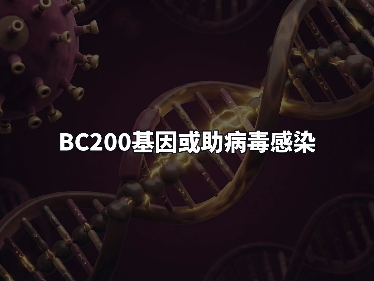 BC200基因或助病毒感染