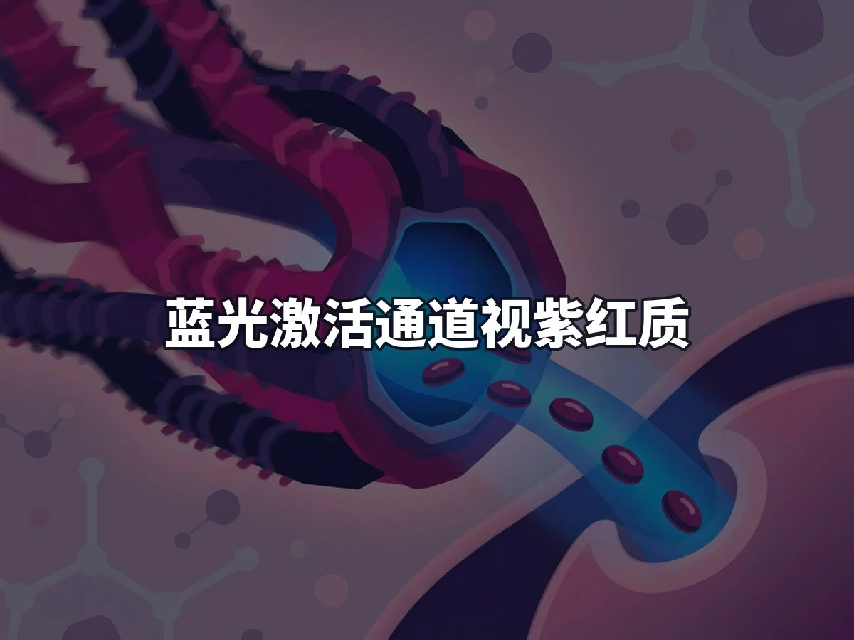 蓝光激活通道视紫红质