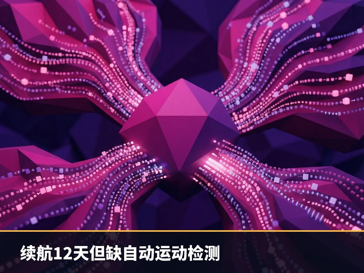 续航12天但缺自动运动检测
