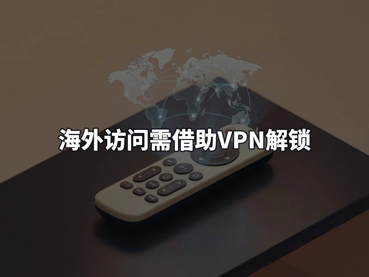 海外访问需借助VPN解锁