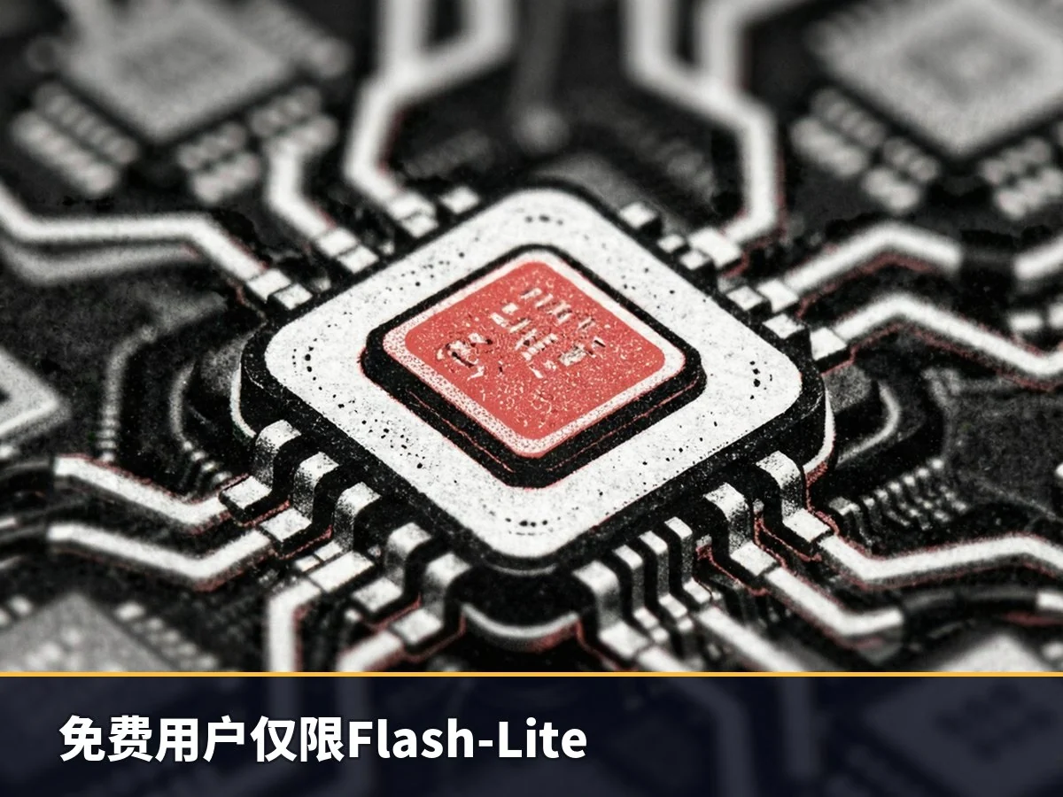 免费用户仅限Flash-Lite