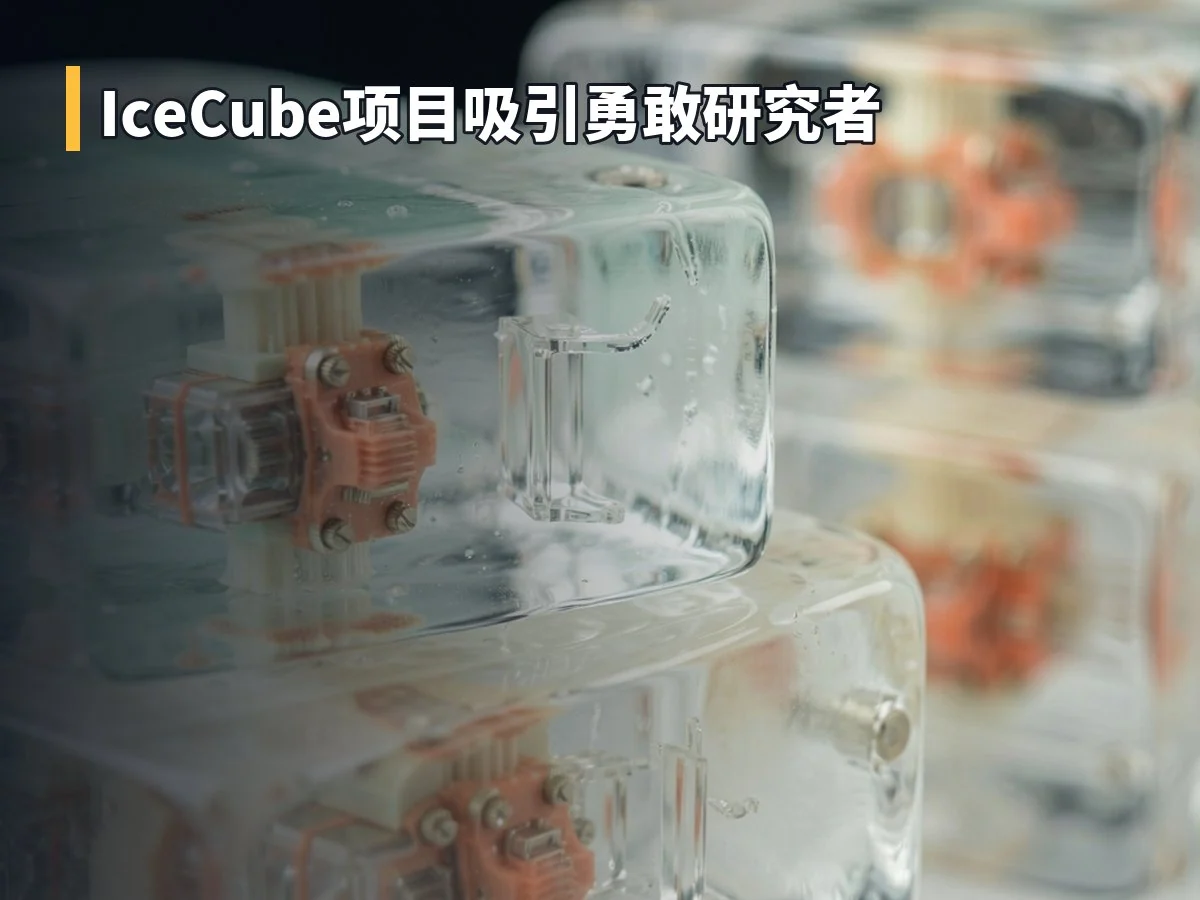 IceCube项目吸引勇敢研究者