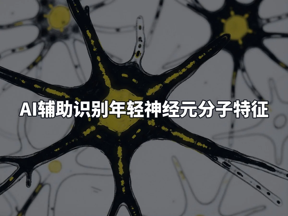 AI辅助识别年轻神经元分子特征