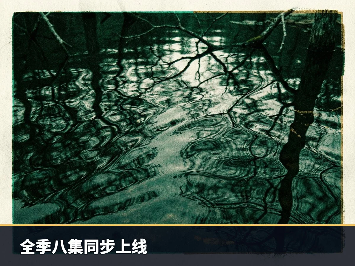 全季八集同步上线