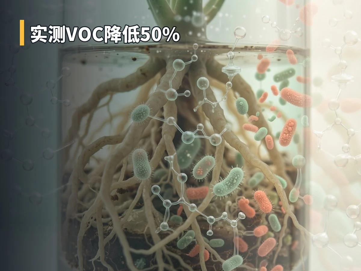 实测VOC降低50%