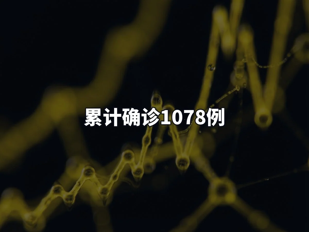 累计确诊1078例