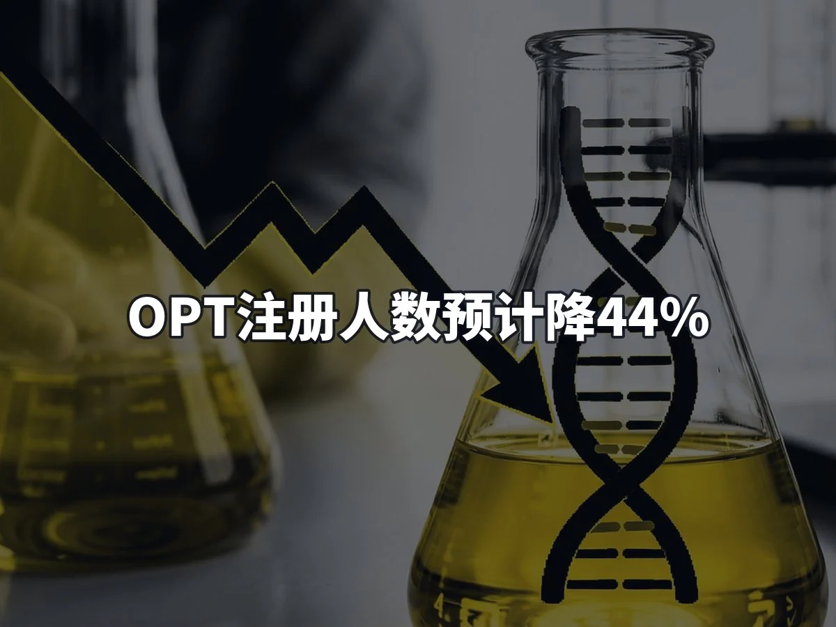OPT注册人数预计降44%