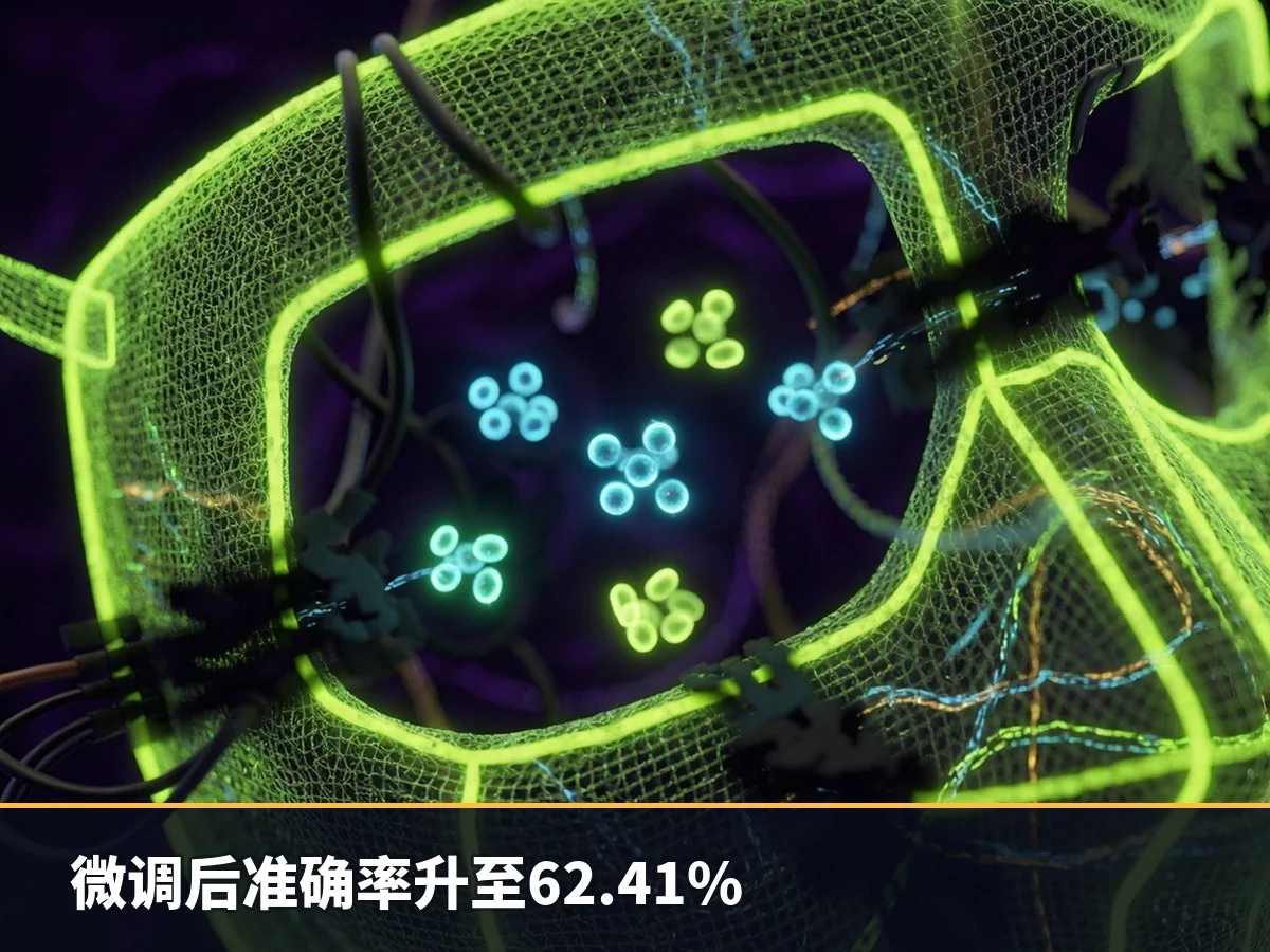 微调后准确率升至62.41%