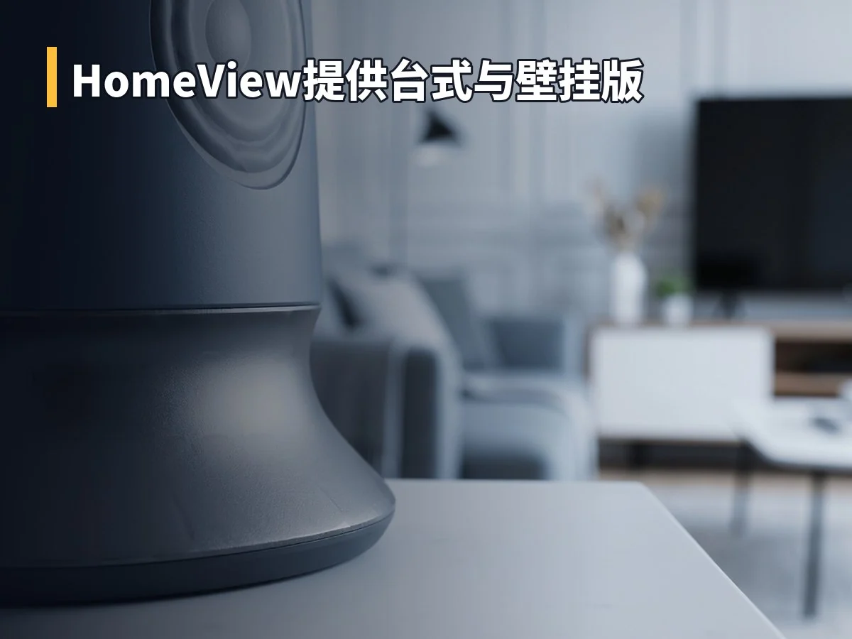 HomeView提供台式与壁挂版