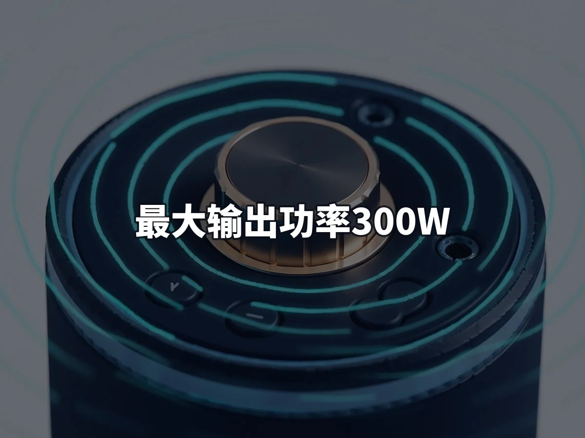 最大输出功率300W