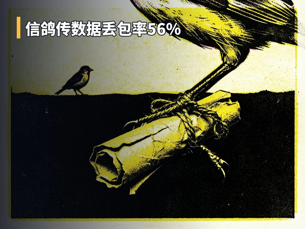 信鸽传数据丢包率56%