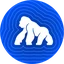 APE