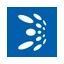 BtcTurk | Kripto